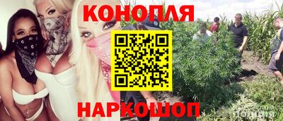 дживик Кунгур