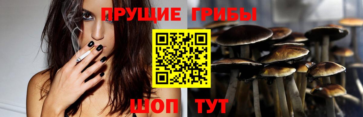 Псилоцибиновые грибы MAGIC MUSHROOMS  Вход с VPN  Усть-Илимск  Галлюциногенные грибы Magic Shrooms 